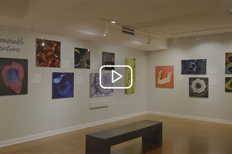 art hanging on gallery wall - watch video of Art of Science recap