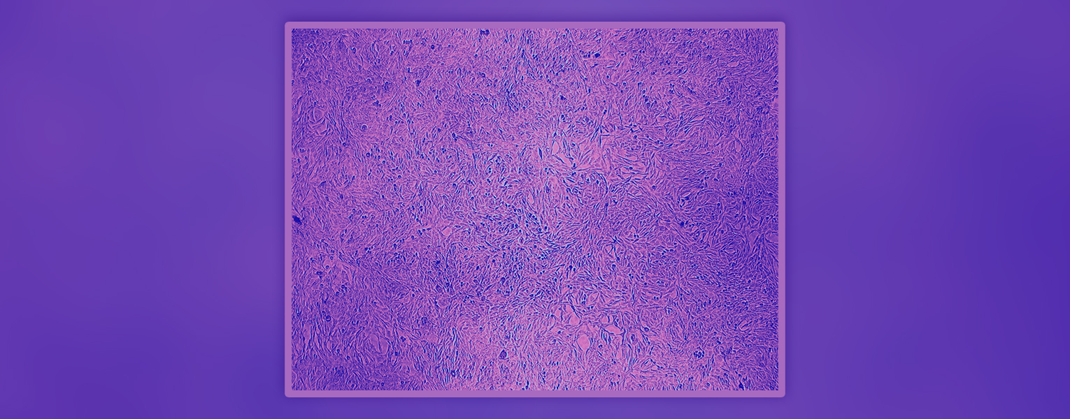 Building Better Medicines