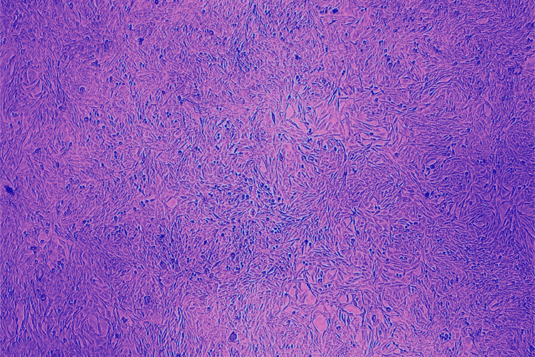 Building Better Medicines