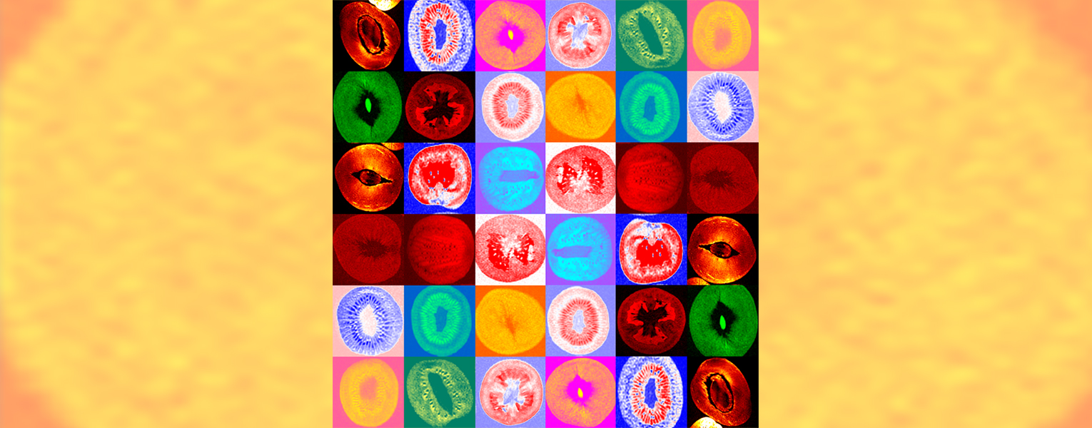 Deciphering Dissected Fruit 