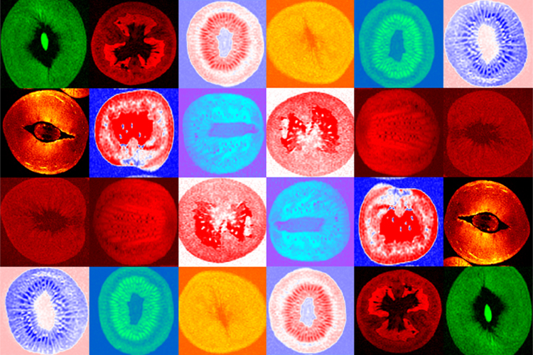 Deciphering Dissected Fruit 
