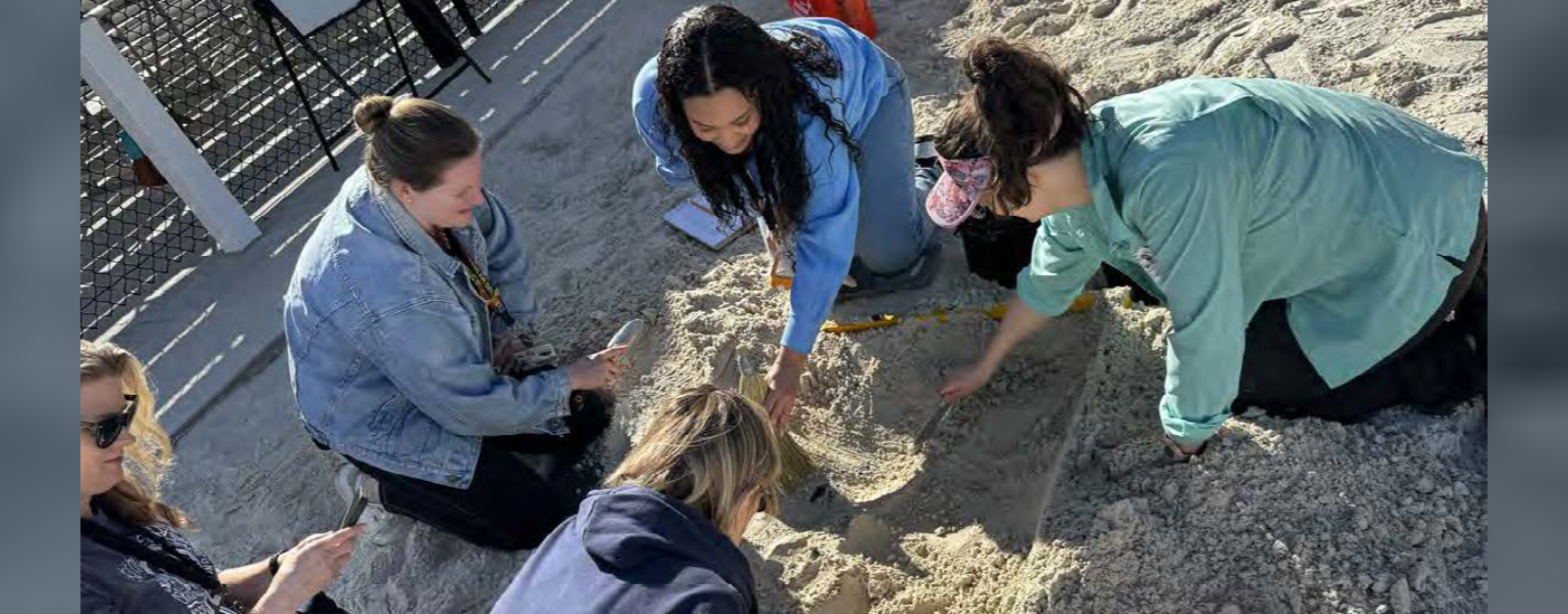 four people digging in the sand