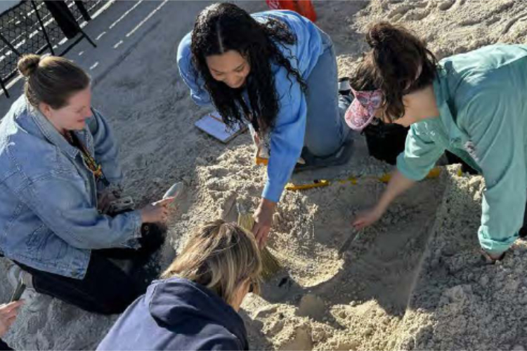 four people digging in the sand