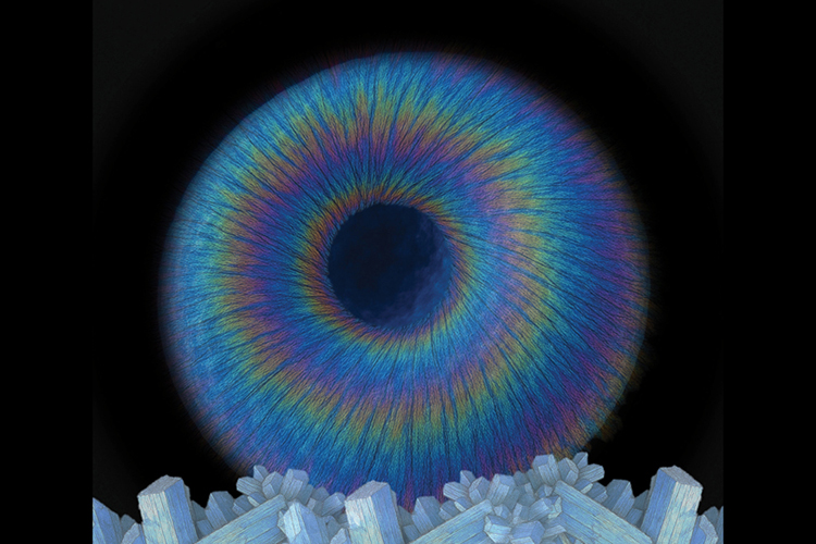 Student’s "Donut" Crystals Land Journal Cover