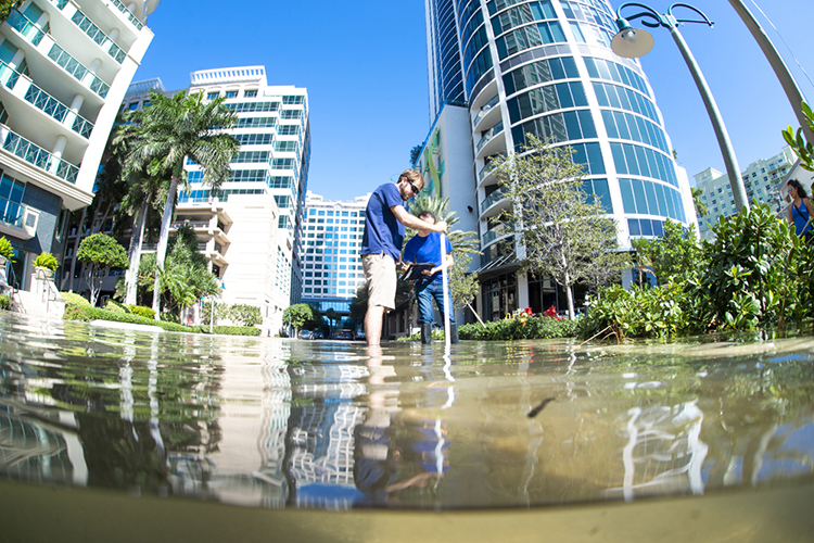 FAU Experts Explain South Florida’s Flash Floods