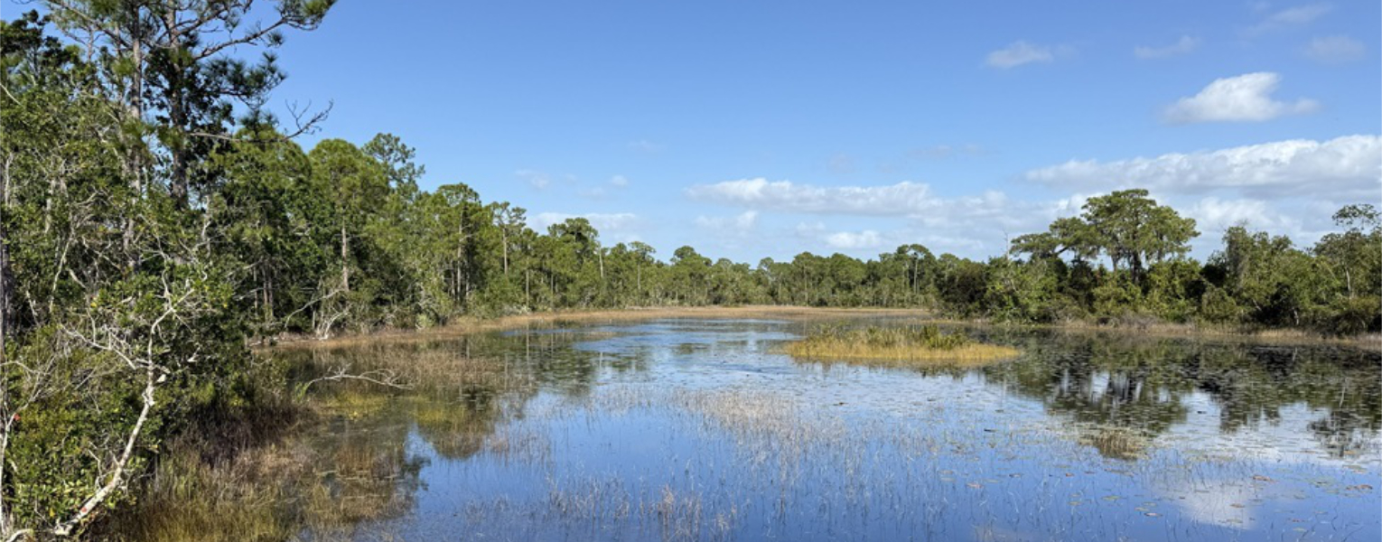 The main open-water area of Spruce Bluff Preserve, a 97-acre freshwater wetland along the St. Lucie River in Port St. Lucie.