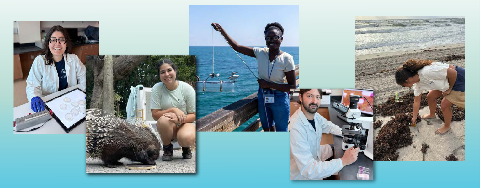collage of five images of students in the field and environmental lab setting