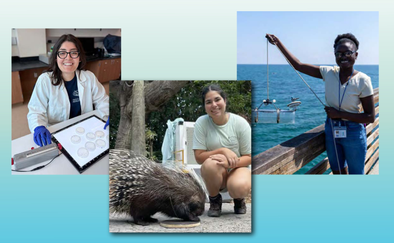 Collage of images: From left: Fiona Falvy, Ariana Sosa, Shedeline Joseph