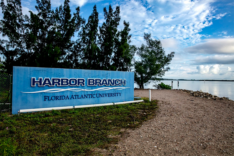 FAU Awarded $900,000 for Sea-Level Research