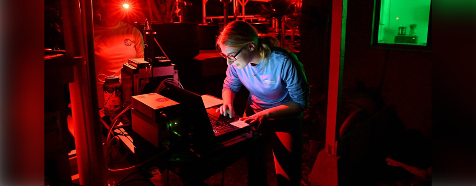 Allison Klein using Pulse Amplitude Modulation fluorometry to measure photosynthetic efficiency. Photo credit: Stanley Lio, Coral Resilience Lab