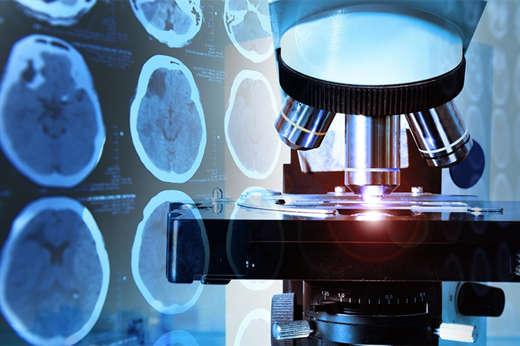 microscope and brain scan imaging