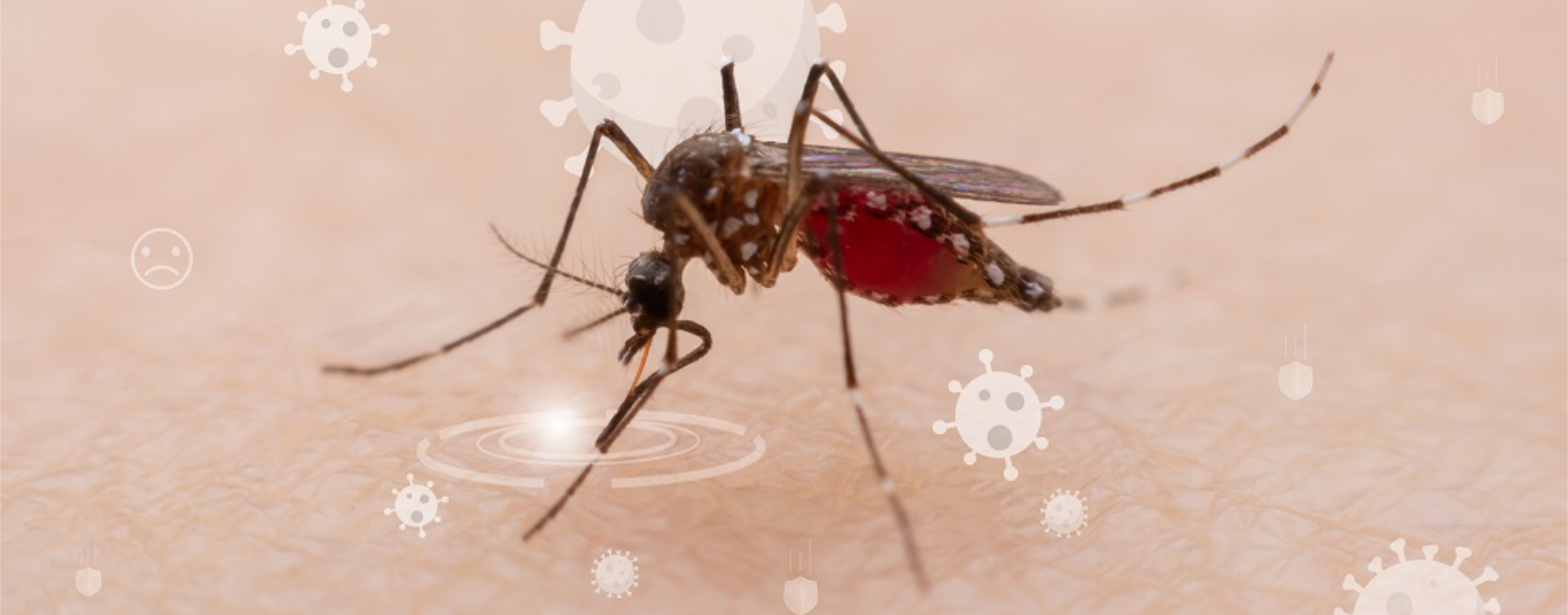 mosquito on abstract peach-colored background