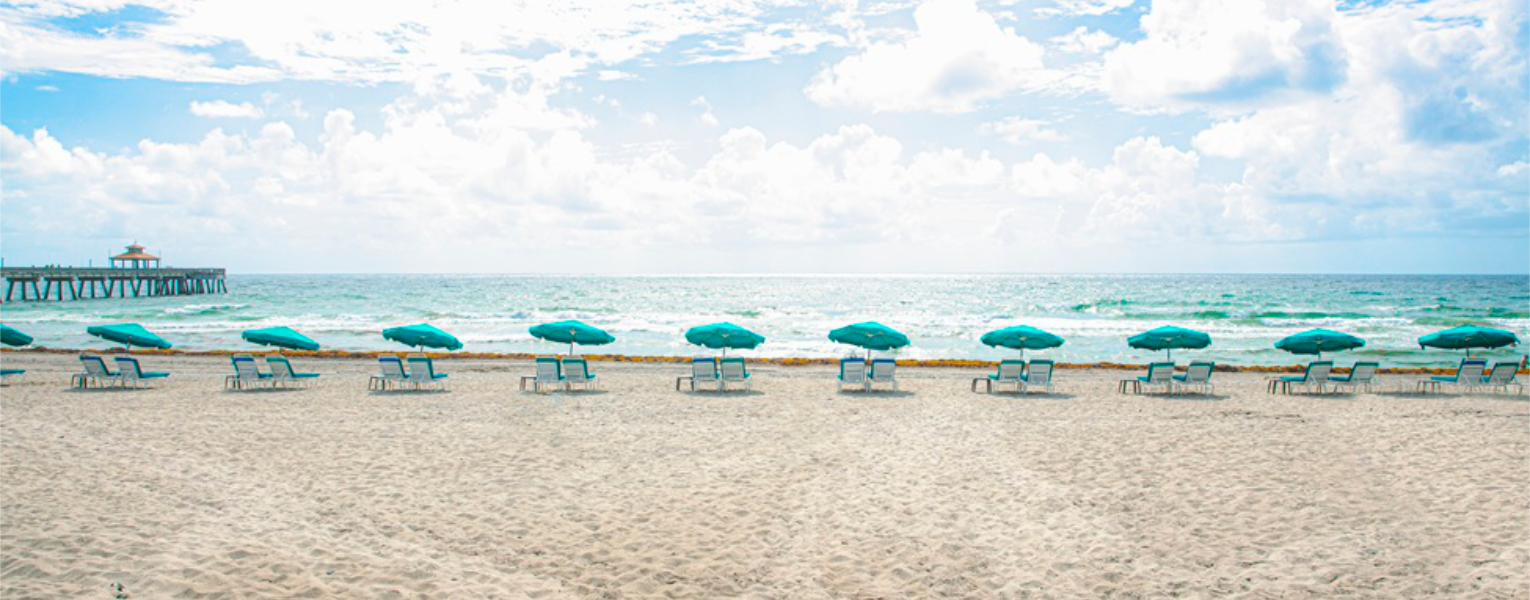 Umbrellas and chairs on a beach
