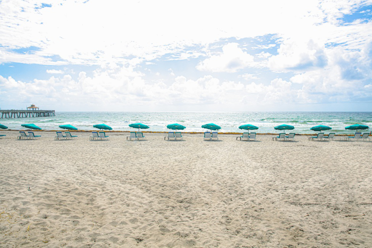 Umbrellas and chairs on a beach