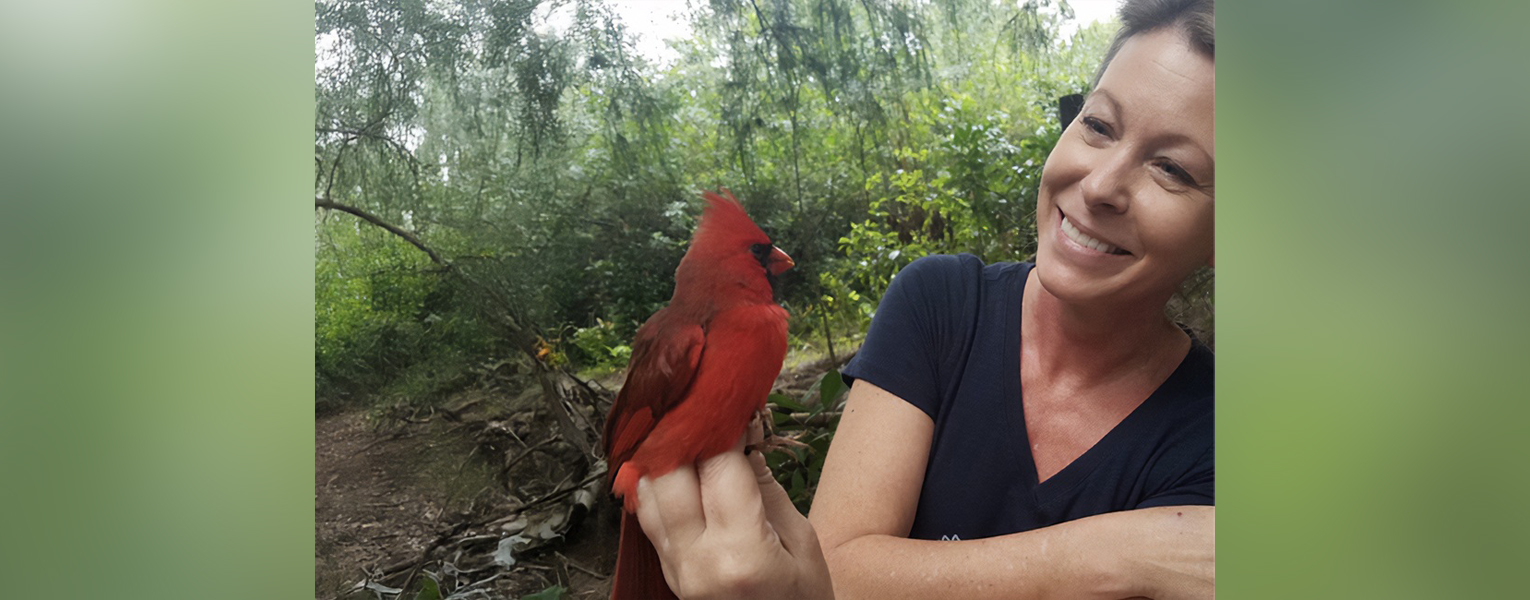 Rindy Anderson, Ph.D., senior author, holds a wild Northern cardinal