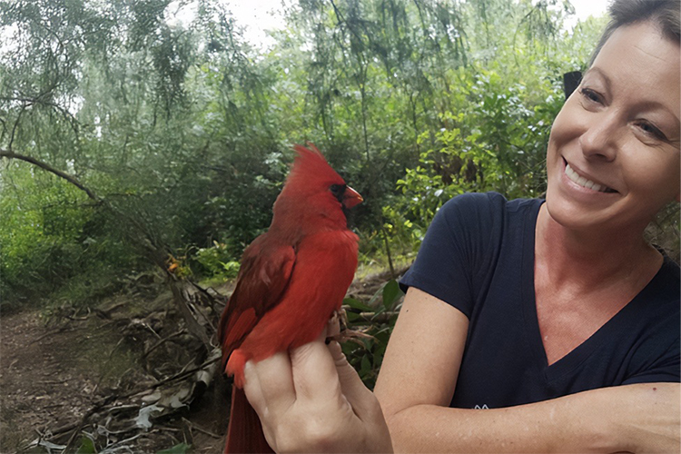 Uncovering How Wild Songbirds Respond to Stress