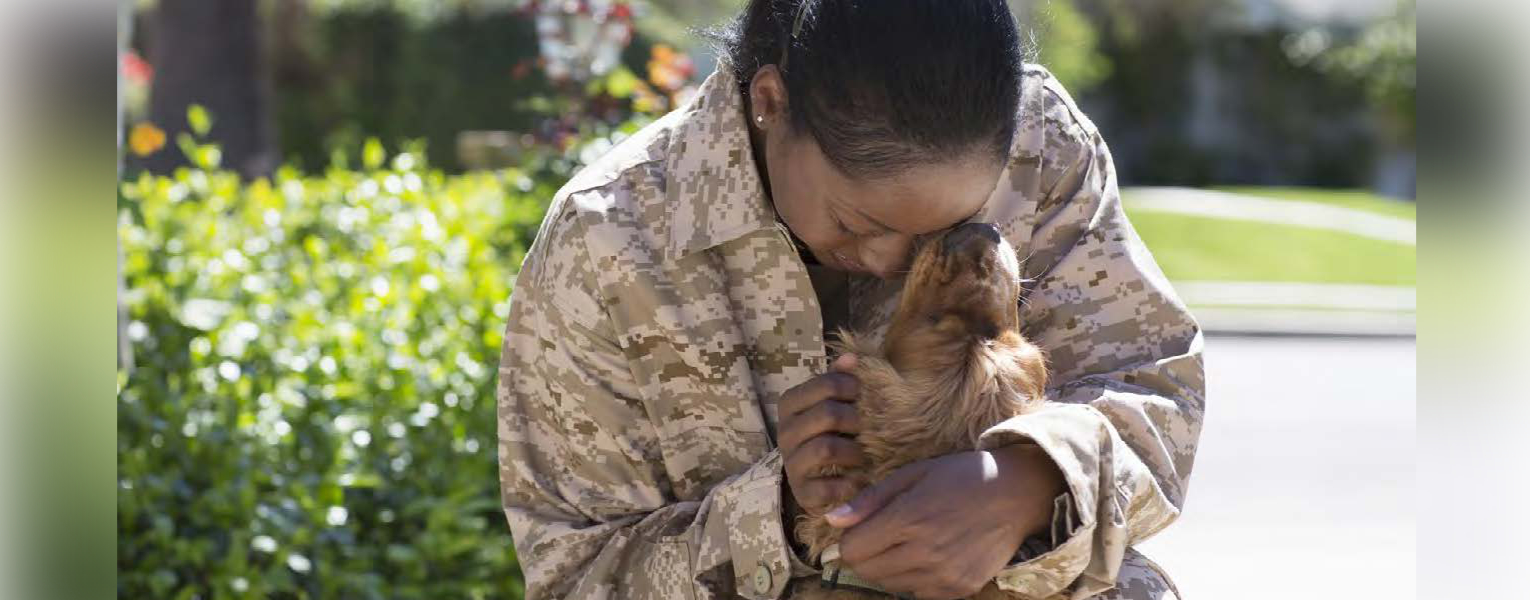 Person hugging a dog outside