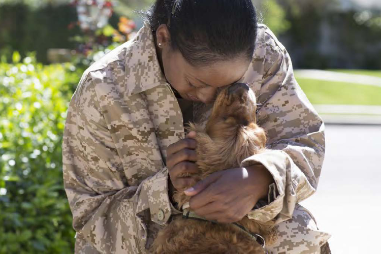 person hugging a dog outside