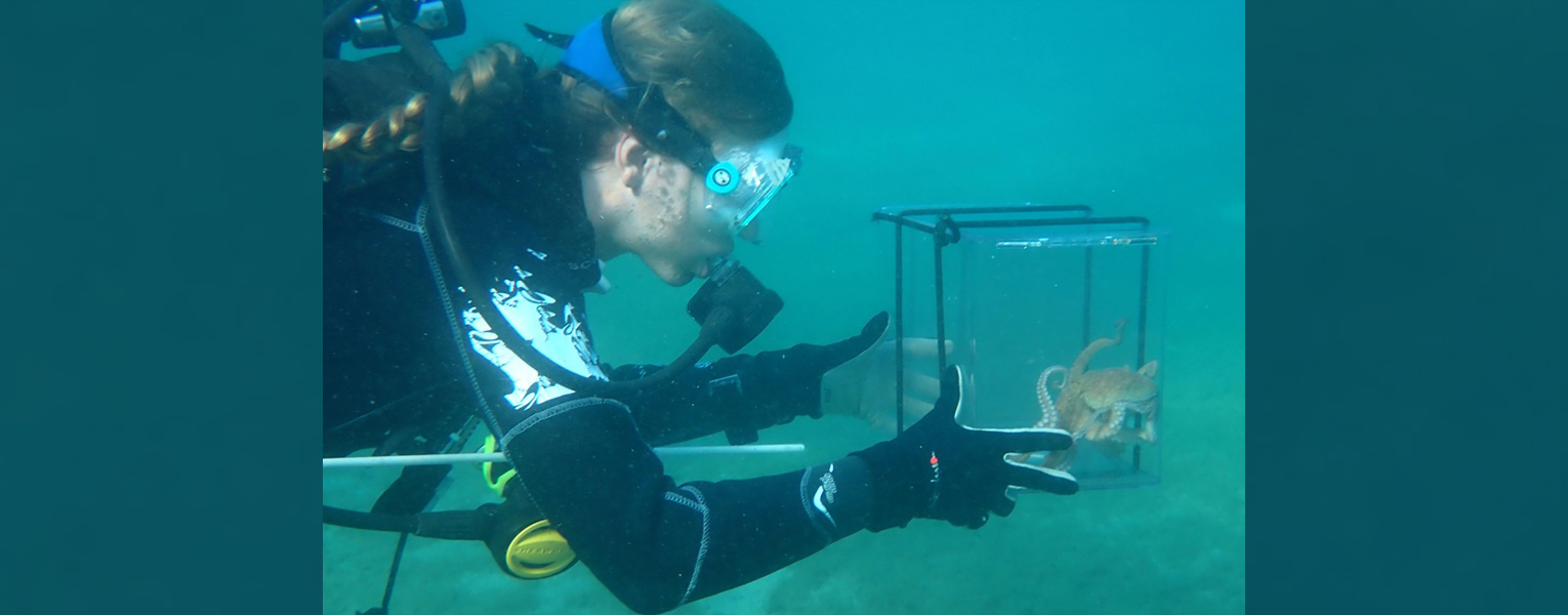 Madelyn A. Hair returns an octopus to its capture site after participating in the study.