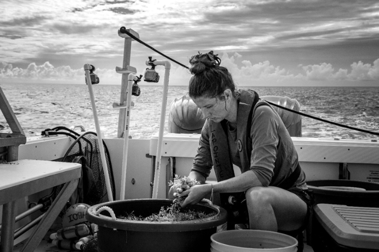 Photo credit: Sharon Hart, FAU associate professor of art. Black and white image of Willse on a sampling trip on a boat.