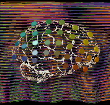 FAU Names New Director to its Center for Women, Gender and Sexuality Studies