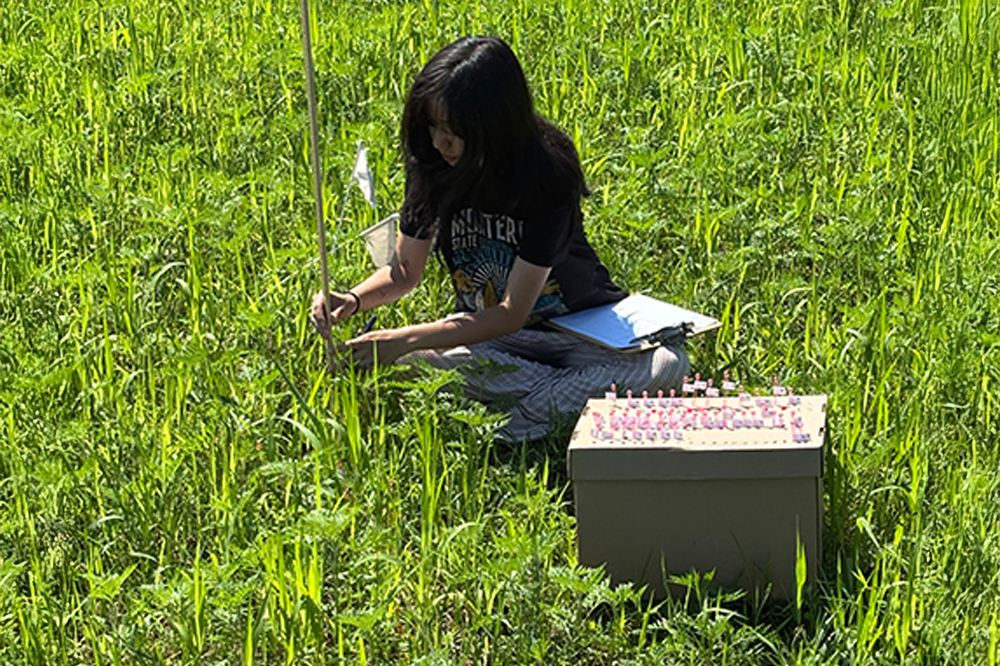Making Memories in Michigan: Two Schmidt College of Science Undergraduates Share Their WLW-ECOS Summer Externship Experiences