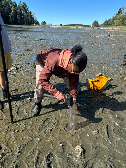 exploring eelgrass ecosystems with chrishera smith