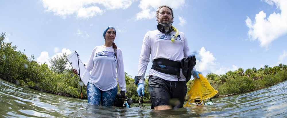 FAU Scientists wade in brackish water with test equipment
