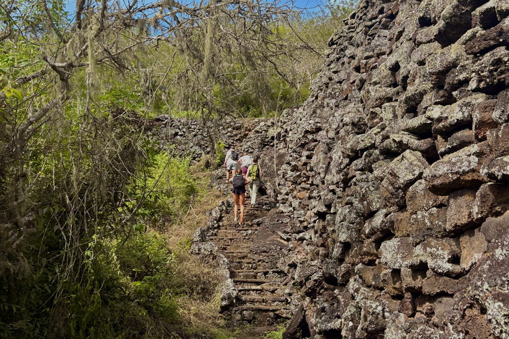 Following Darwin’s Footsteps: Students Dive Into Discovery in the Galápagos
