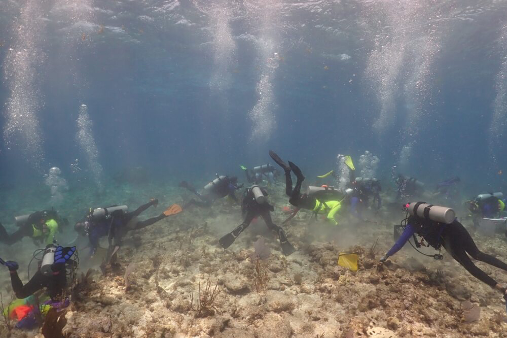 ‘Frontiers in Science’ Public Lecture Series Presents ‘Saving Our Seas: On the Front Lines of Protecting Florida’s Coral Reefs’