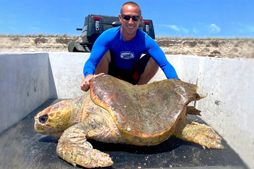 Alumni Spotlight: Sea Turtle Scientist Jeff Guertin