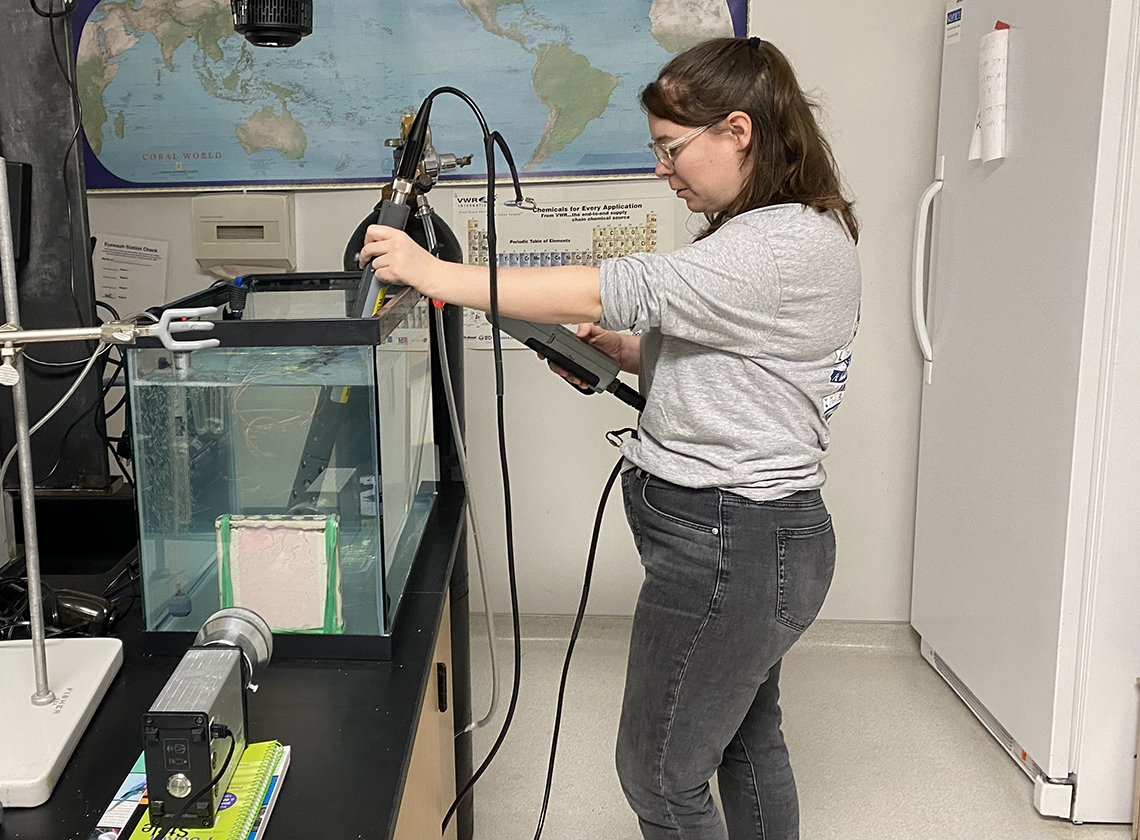 Student Spotlight: Alexandra Hoey Studies Stressors That Influence Tropical Seagrass in Florida Bay