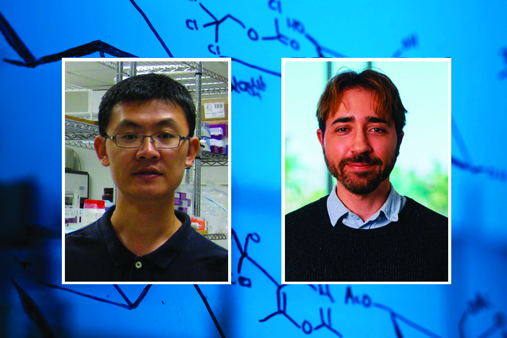 Two Schmidt College of Science Faculty Named Inaugural Research Team Leaders as Part of VIP Consortium