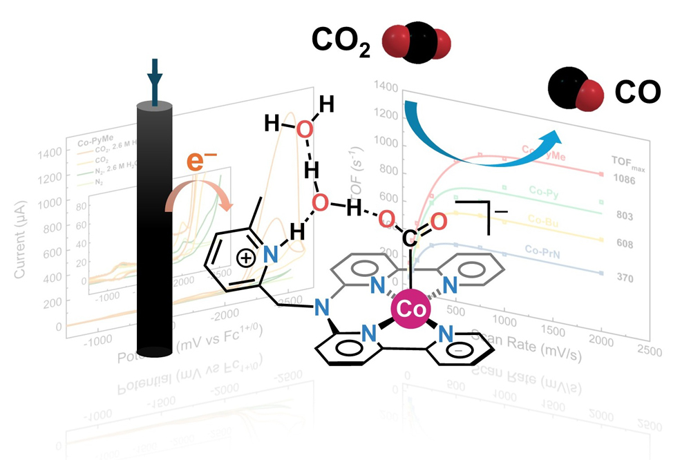 The Catalyst for Change: FAU Unlocks New Design for Faster, Cleaner Carbon Dioxide Conversion