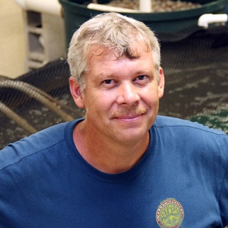 Paul Wills