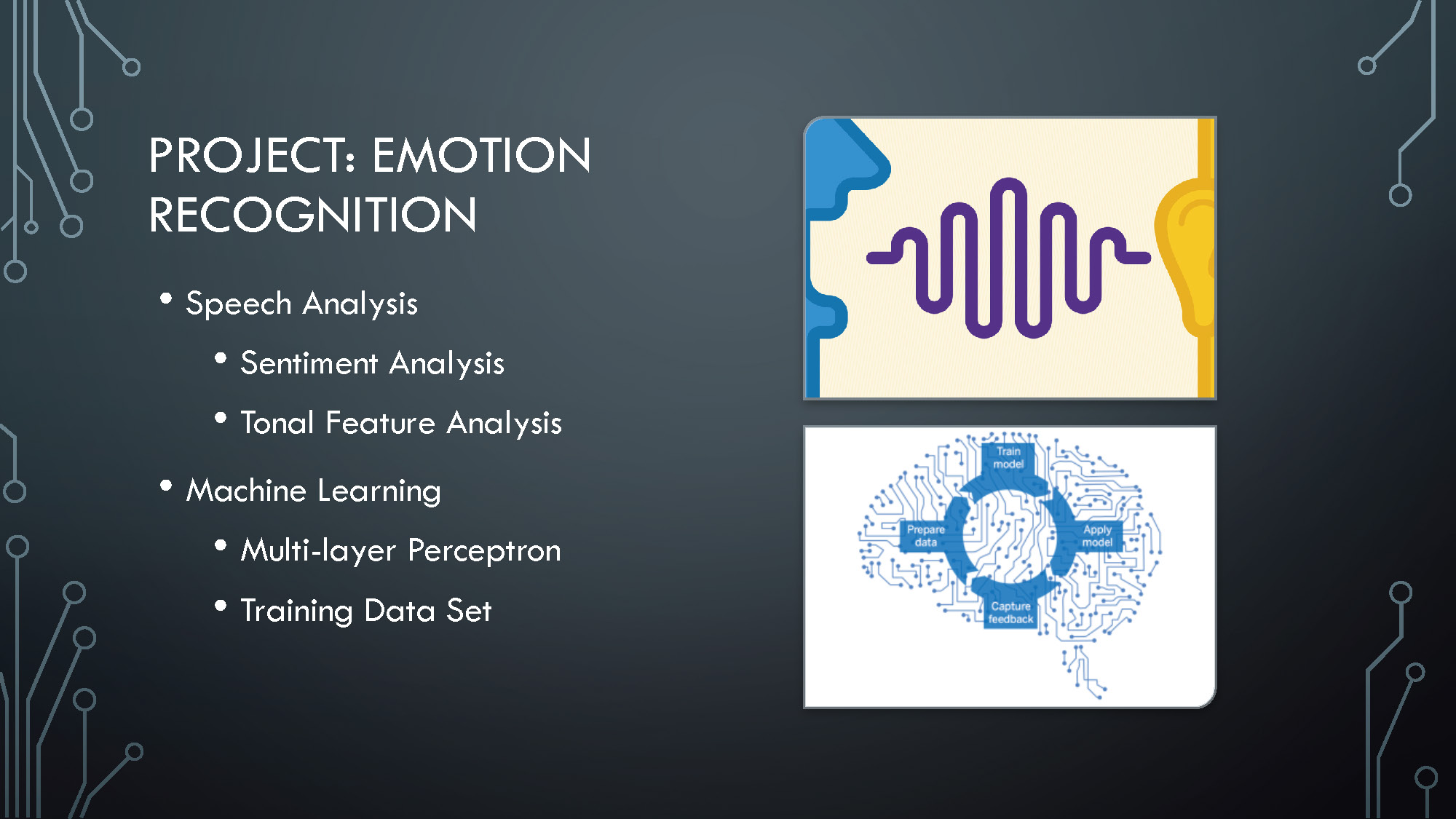 Slide 4: Project overview on emotion recognition using speech analysis, sentiment analysis, and machine learning techniques