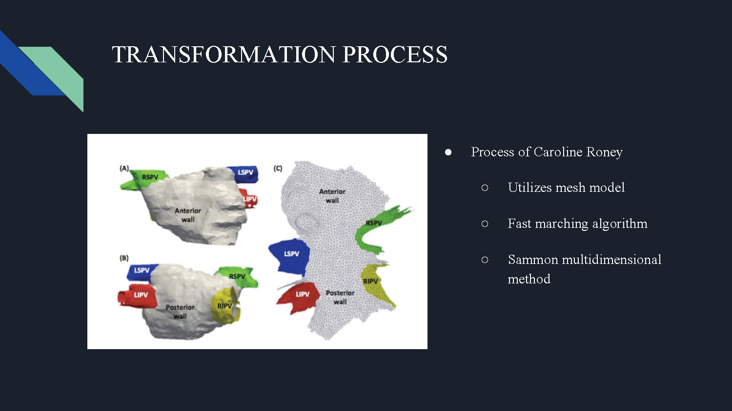 Slide 4: Transformation process explanation of Caroline Roney's method using mesh model and fast marching algorithm