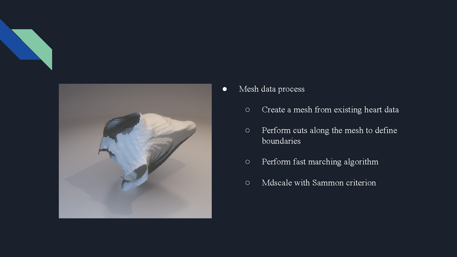 Slide 6: Mesh data process