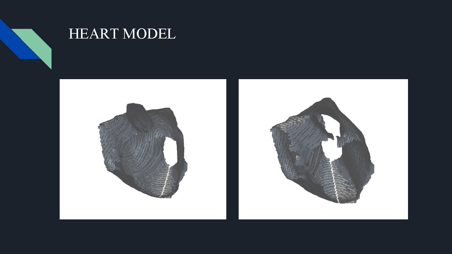 Slide 9: Heart model visualization showing 3D heart structure used for the actual transformation process