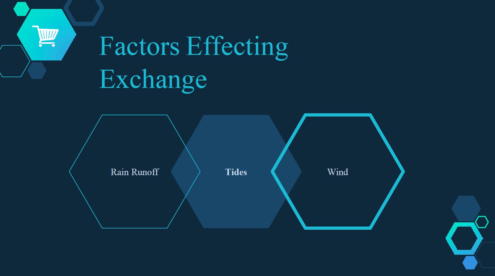 Slide 4: Diagram showing factors affecting water exchange including rain runoff, tides, and wind