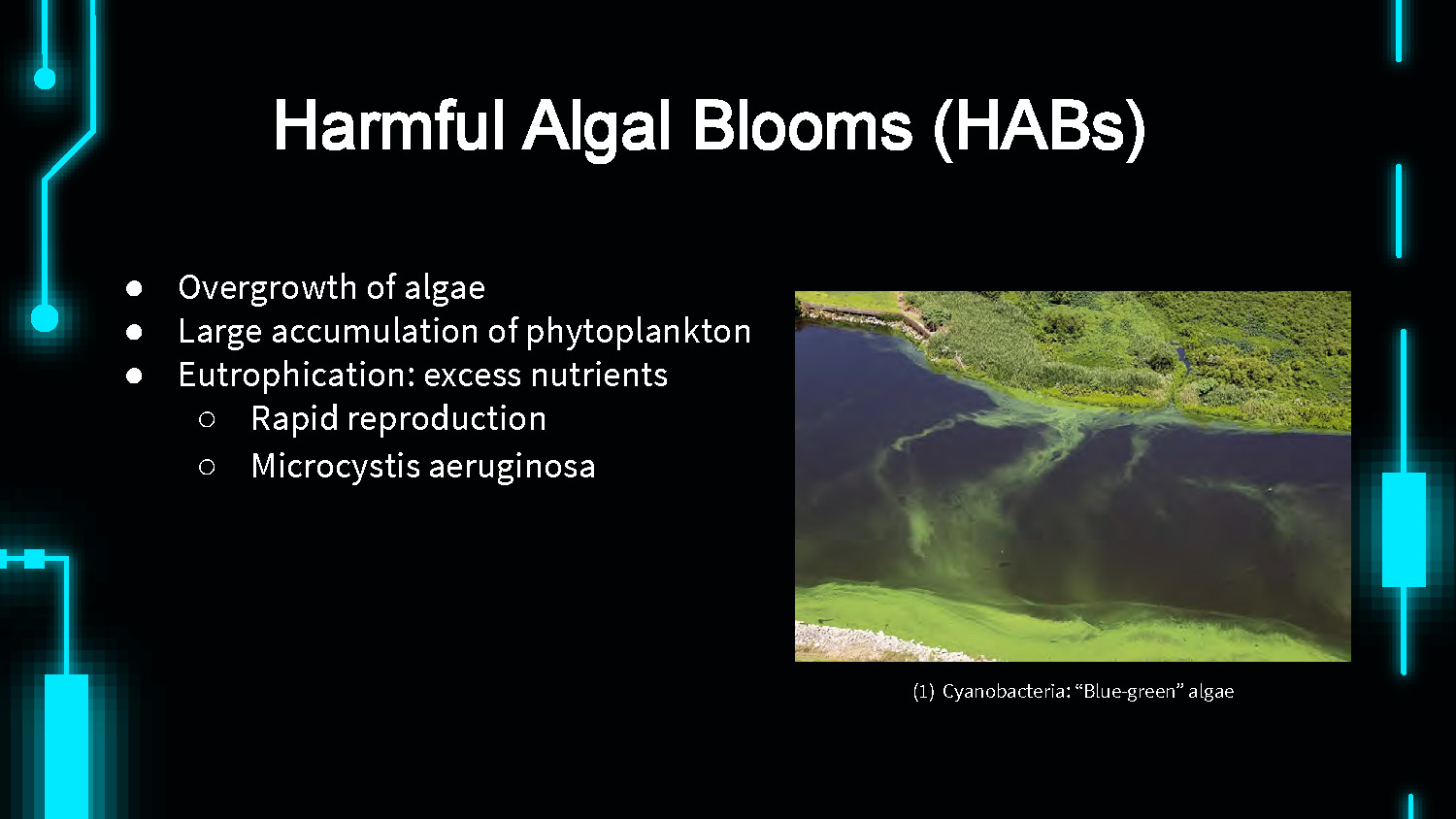 Slide 2: Overview of Harmful Algal Blooms including definitions and characteristics