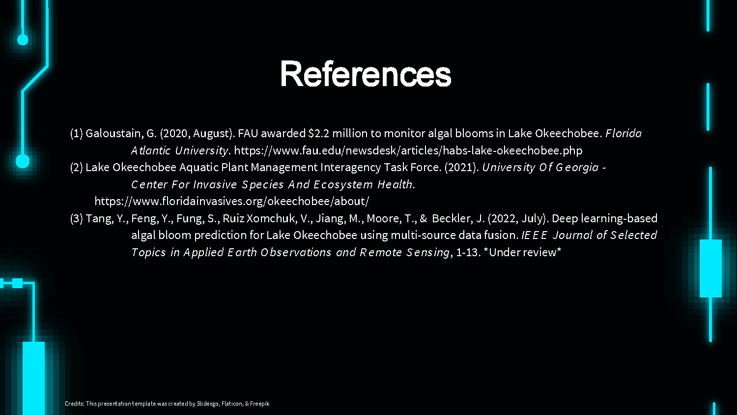 Slide 12: References page with three academic citations