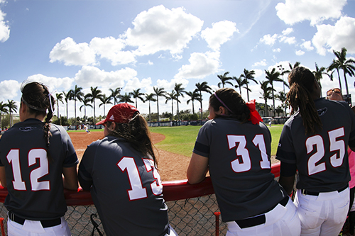 Baseball and Softball players looking out onto a sunny field with palm trees in the background