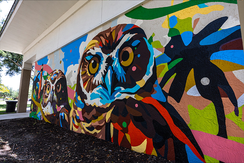 Owl mural