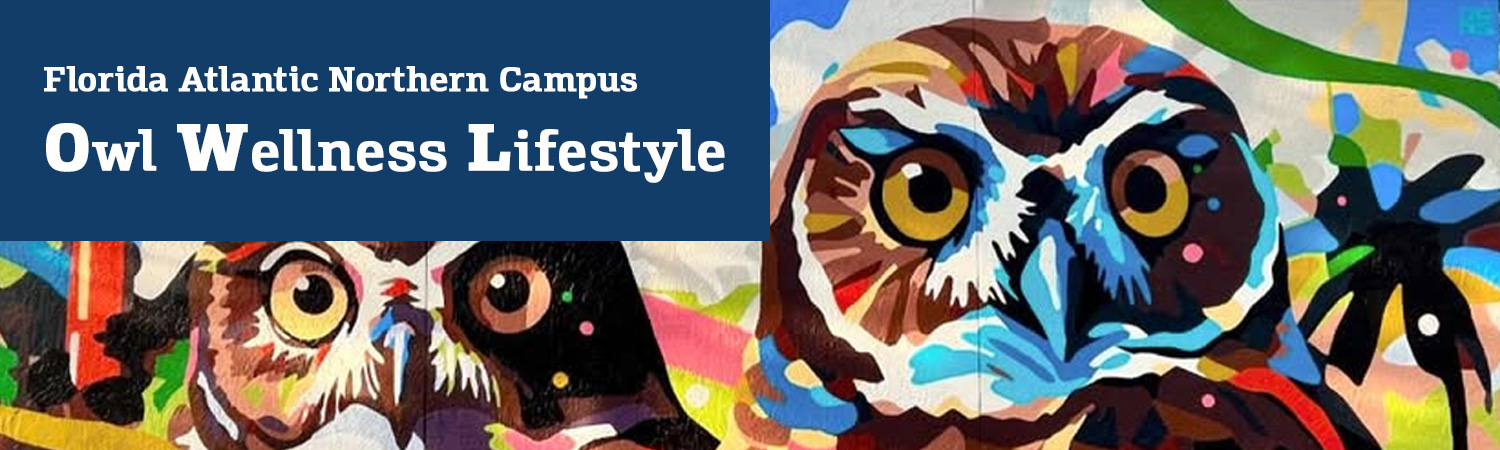 Wellness owl graphic