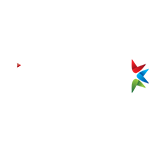 videopura logo
