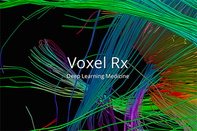 VoxelRx