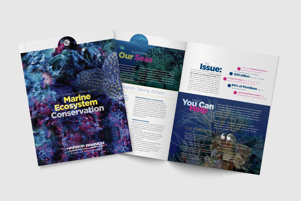 HBOI Marine Brochure