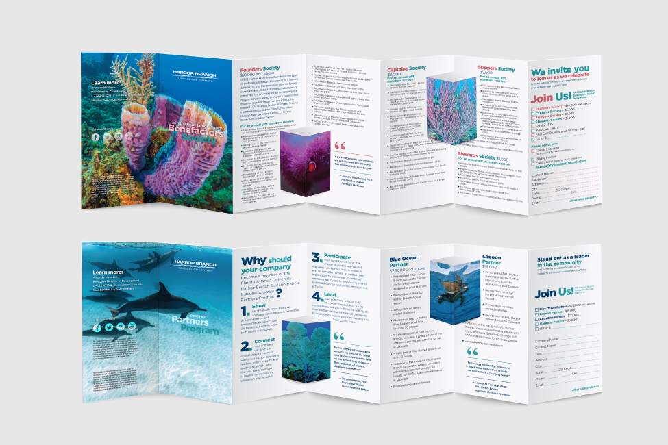 HBOI Pair Pop Up Brochure