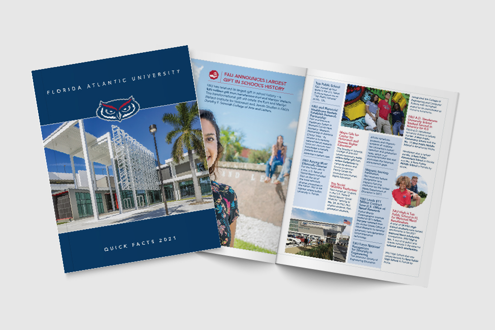 Quick Facts and By The Numbers flyers